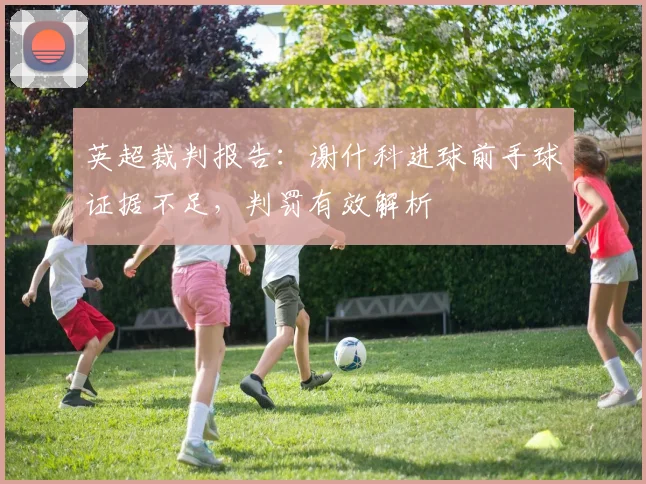 英超裁判报告：谢什科进球前手球证据不足，判罚有效解析